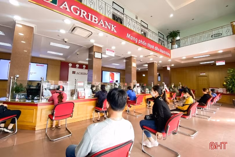 Cho vay lĩnh vực nông nghiệp, nông thôn chiếm thị phần lớn nhất trong dư nợ hệ thống ngân hàng Hà Tĩnh