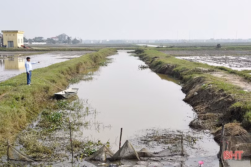 Hạ tầng phục vụ sản xuất nông nghiệp ở Tân Lộc “kêu cứu”!