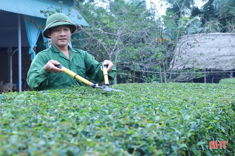Cán bộ mặt trận “dân vận khéo”, bà con lương - giáo đồng lòng xây khu dân cư kiểu mẫu ở Đức Thọ