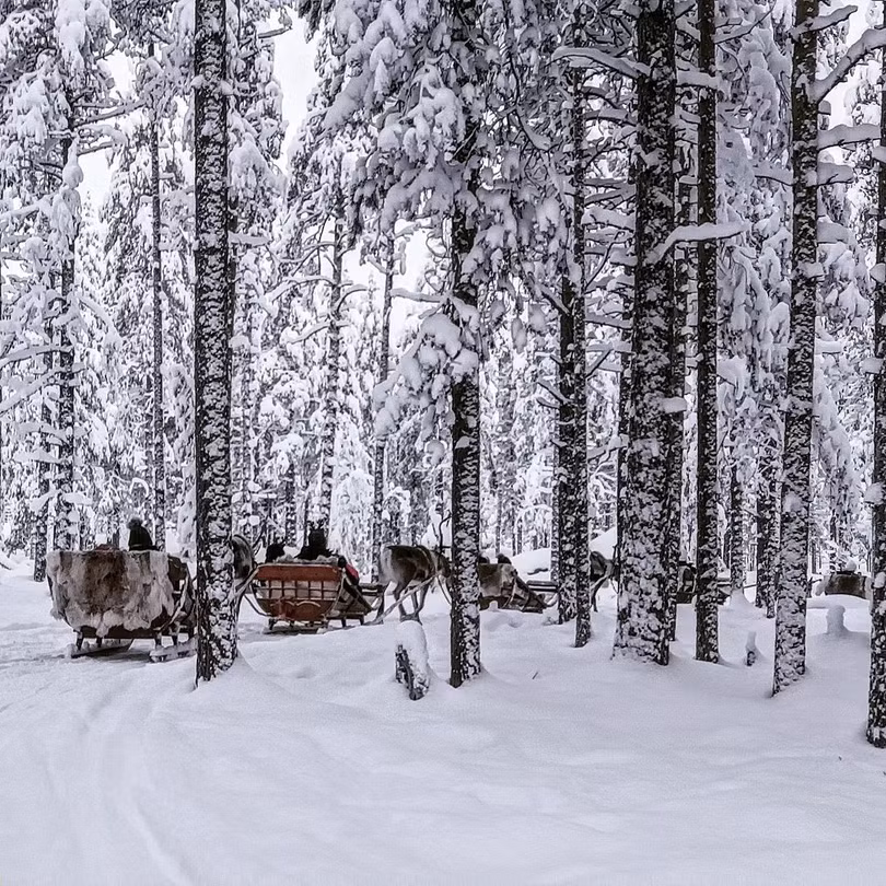 Ghé thăm ngôi làng của ông già Noel