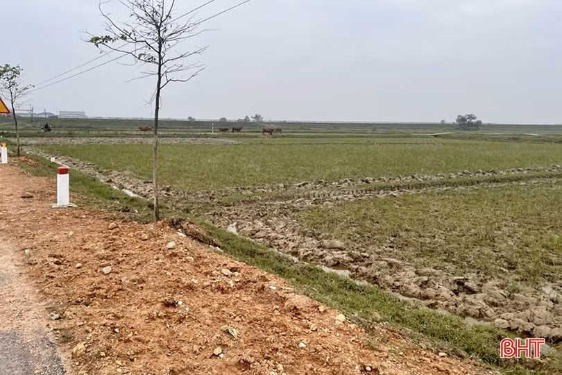 Khẩn trương san lấp mặt bằng phục vụ lễ khởi công cao tốc Bắc - Nam ở Hà Tĩnh