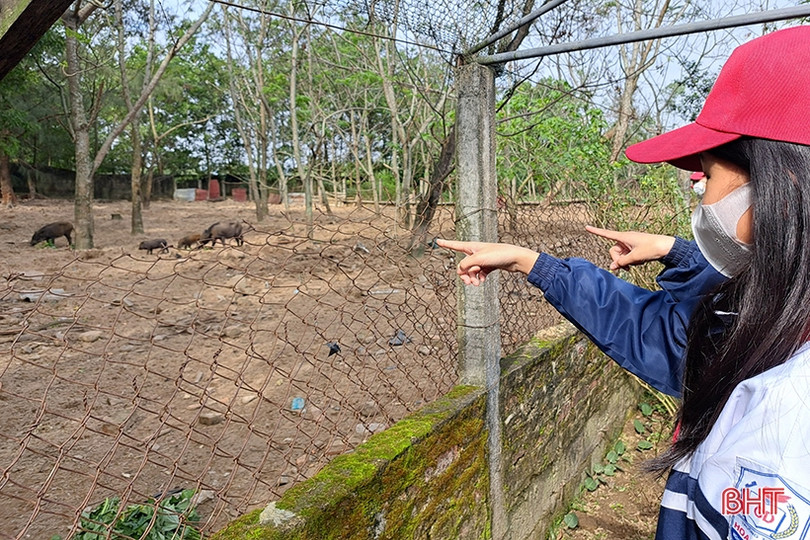 Gần 200 học sinh Nghi Xuân được trải nghiệm, thử làm chiến sĩ biên phòng