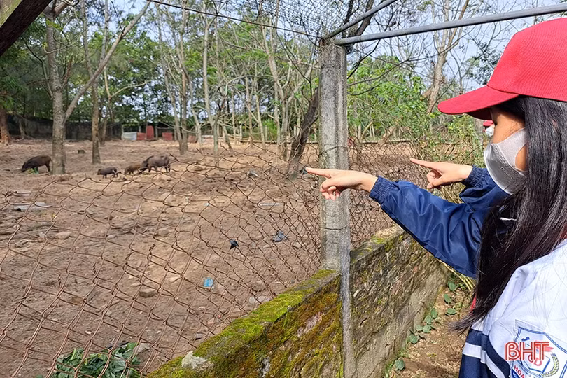 Gần 200 học sinh Nghi Xuân được trải nghiệm, thử làm chiến sĩ biên phòng