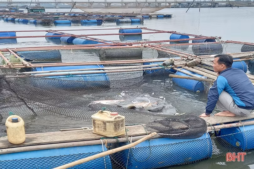 Niềm vui xóm đạo Tiến Thủy