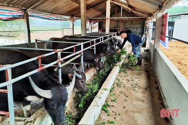 Can Lộc ra mắt Câu lạc bộ Thanh niên khởi nghiệp