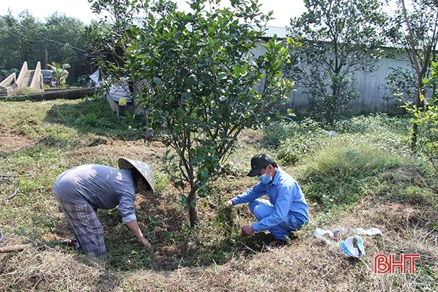 Cựu chiến binh Hà Tĩnh thi đua làm kinh tế giỏi, góp sức xây dựng quê hương