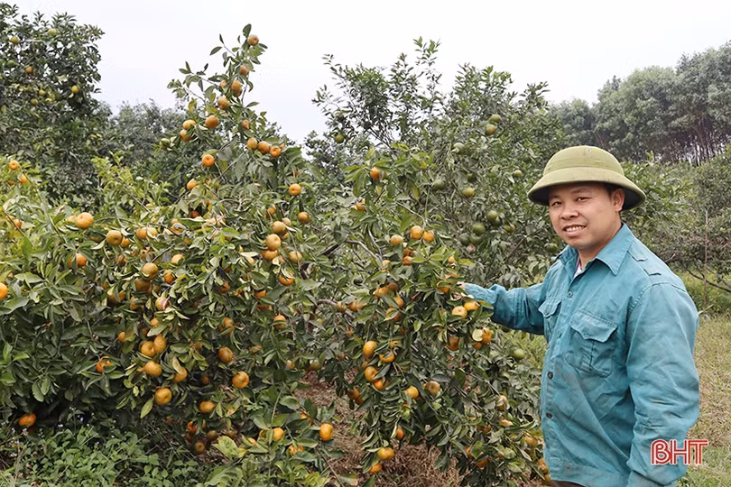 Bí thư chi bộ đi đầu trong xây dựng khu dân cư thông minh ở xóm núi 