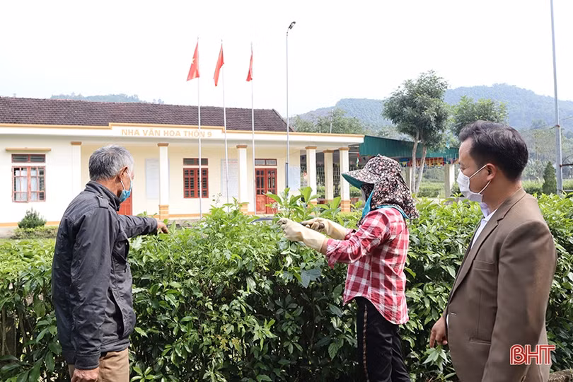 Bí thư chi bộ đi đầu trong xây dựng khu dân cư thông minh ở xóm núi 