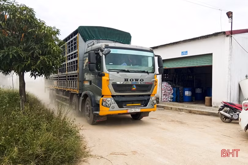 Hà Tĩnh: Công ty TNHH Khánh Giang bị phạt 1,25 tỷ đồng do vi phạm bảo vệ môi trường