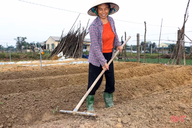 Tết gần từ những làng rau màu ven đô ở Hà Tĩnh