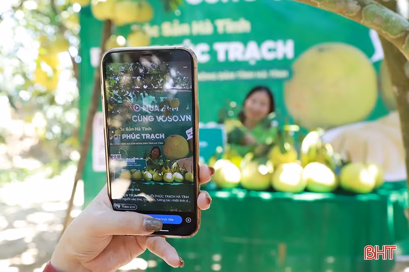 Lấy giá trị thu nhập trên đơn vị diện tích canh tác, giá trị thu nhập hộ nông dân làm tư tưởng chỉ đạo