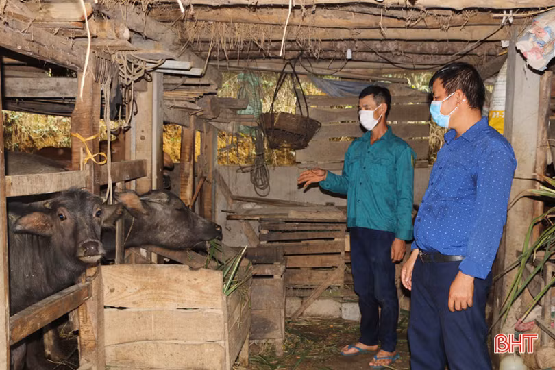 Cán bộ thôn góp phần đưa xóm núi ở Vũ Quang trở thành khu dân cư kiểu mẫu