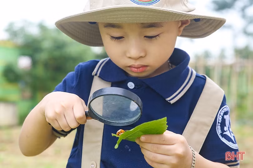 Phương pháp Montessori ở Trường Mầm non Trung Kiên - thúc đẩy tối đa tiềm năng của trẻ