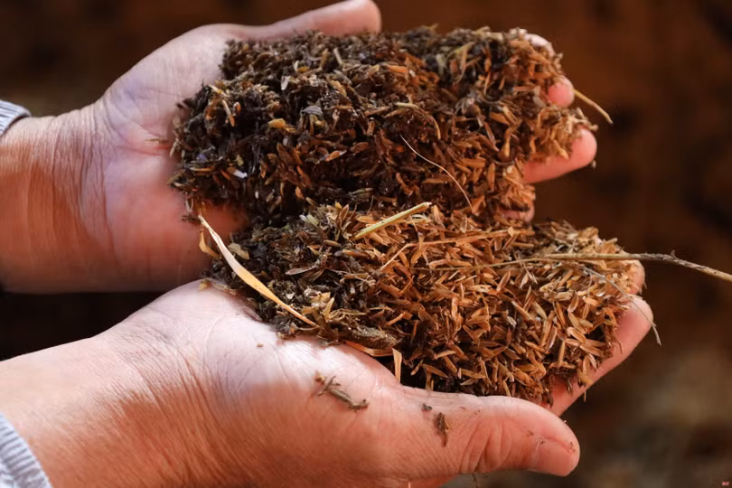 Giá phân bón tăng cao, nông dân Hà Tĩnh tìm cách thích ứng