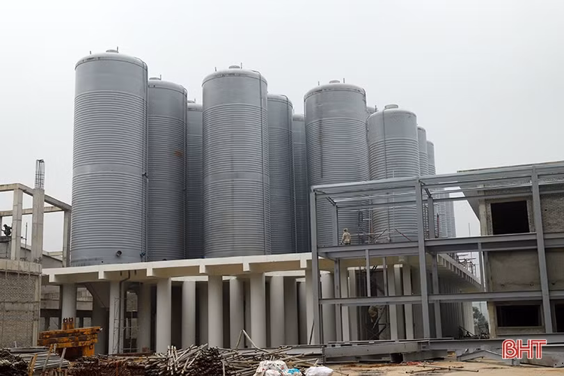 Công ty cổ phần Tập đoàn Hoành Sơn: Hành trình vươn ra biển lớn