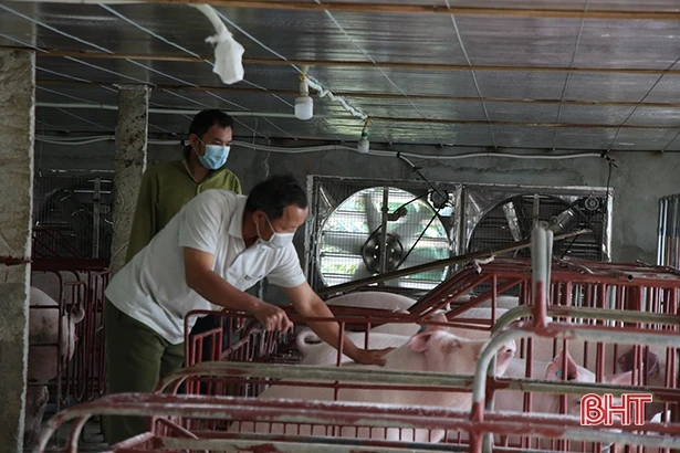 Cựu chiến binh Hà Tĩnh thi đua làm kinh tế giỏi, góp sức xây dựng quê hương