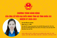Chương trình hành động của ứng cử viên đại biểu HĐND tỉnh khóa XIX Nguyễn Ny Hương