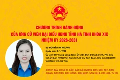 Chương trình hành động của ứng cử viên đại biểu HĐND tỉnh khóa XIX Nguyễn Ny Hương