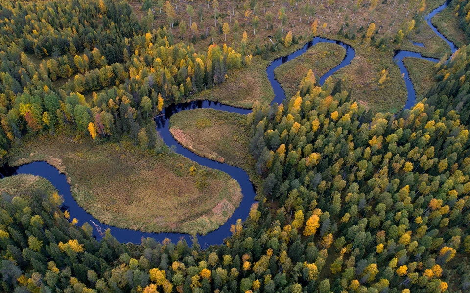 Mãn nhãn với quang cảnh mùa thu thế giới nhìn từ trên cao