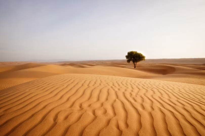 Những sự thật thú vị về sa mạc Sahara