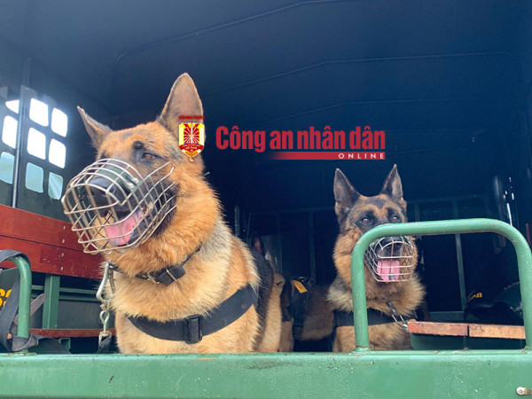 Đã bắt 39 đối tượng vụ gây mất ANTT tại Đắk Lắk