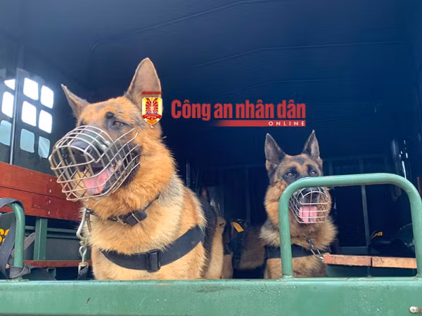 Đã bắt 39 đối tượng vụ gây mất ANTT tại Đắk Lắk