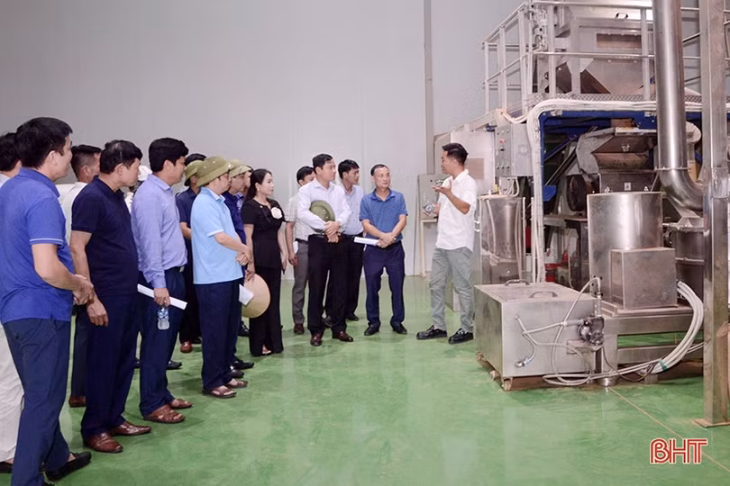 Hương Sơn học tập kinh nghiệm sản xuất quế tại các tỉnh phía Bắc