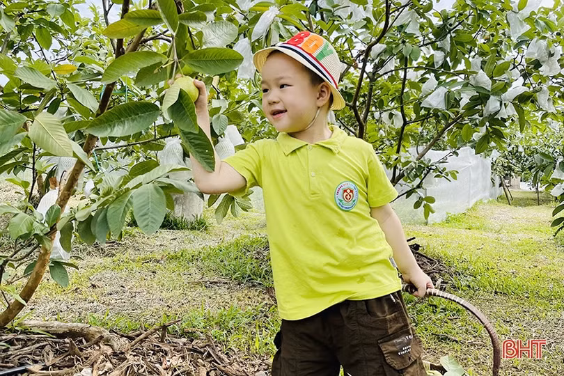 Mầm non Trí Đức: Mang tới trải nghiệm mới cho trẻ từ môi trường thực tế