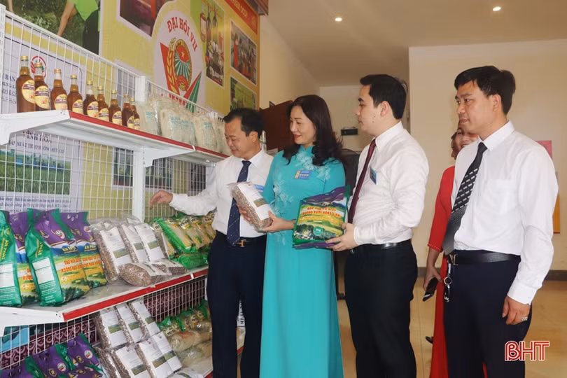 Bà Lê Thị Thu Hiền tái cử Chủ tịch Hội Nông dân TX Hồng Lĩnh