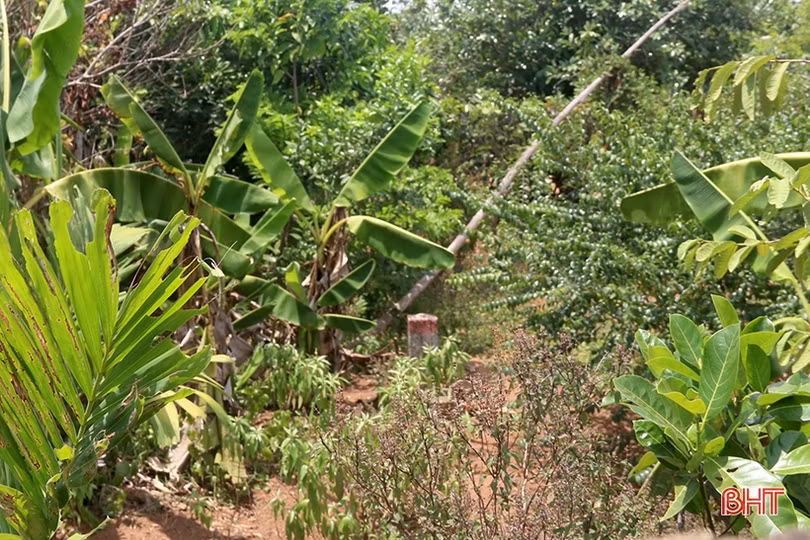 2 hộ không chấp thuận giải phóng mặt bằng, tuyến đường gần 7km đang “đứt đoạn”