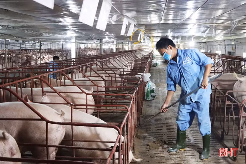 Doanh nghiệp, người dân Hà Tĩnh đề xuất EVN chưa tăng giá điện lần 2