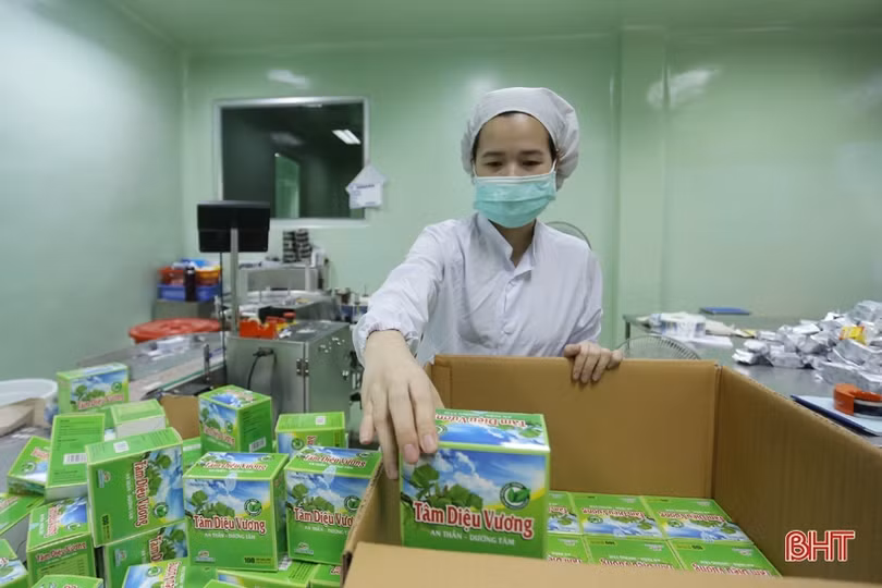 Doanh nghiệp, người dân Hà Tĩnh đề xuất EVN chưa tăng giá điện lần 2