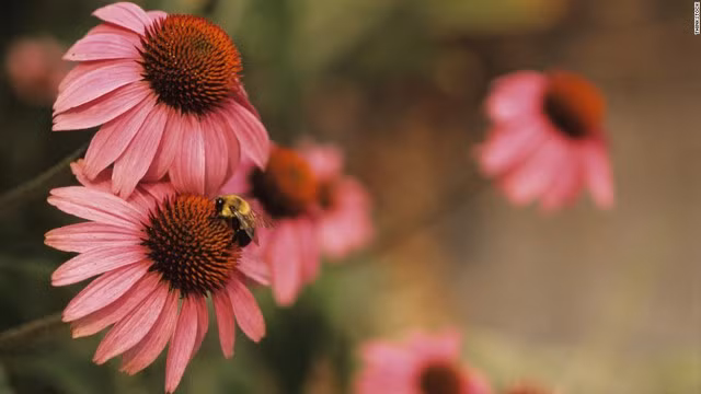 meo huu ich doi voi suc khoe trong mua he