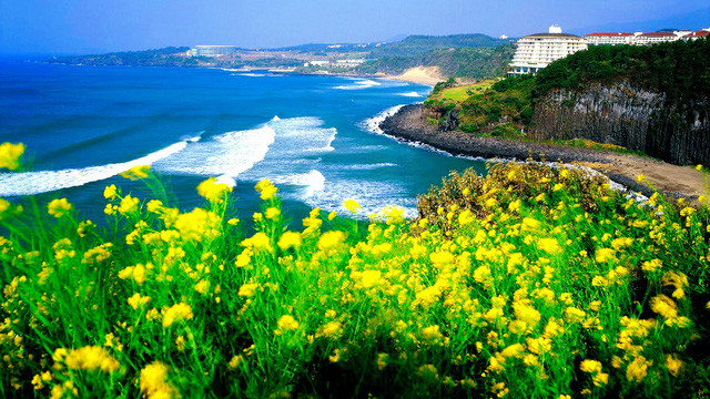 con dao nam trong top 10 diem den hap dan chau a 2016