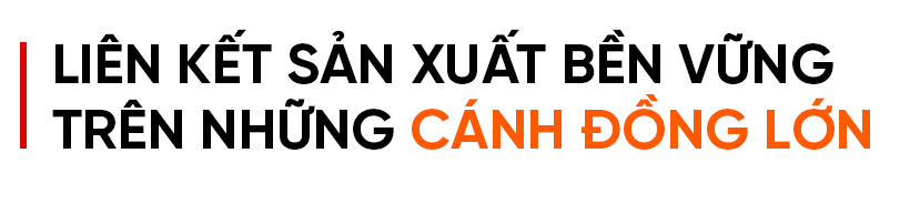 Tích tụ ruộng đất - từ chuyện những người “mê ruộng” đến khát vọng nền nông nghiệp hiện đại (bài cuối): Tư duy mới mở đường cho sản xuất hàng hóa quy mô lớn ở Hà Tĩnh