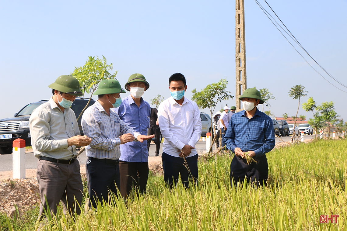 “Làng tôi sẽ là làng lúa, làng hoa”