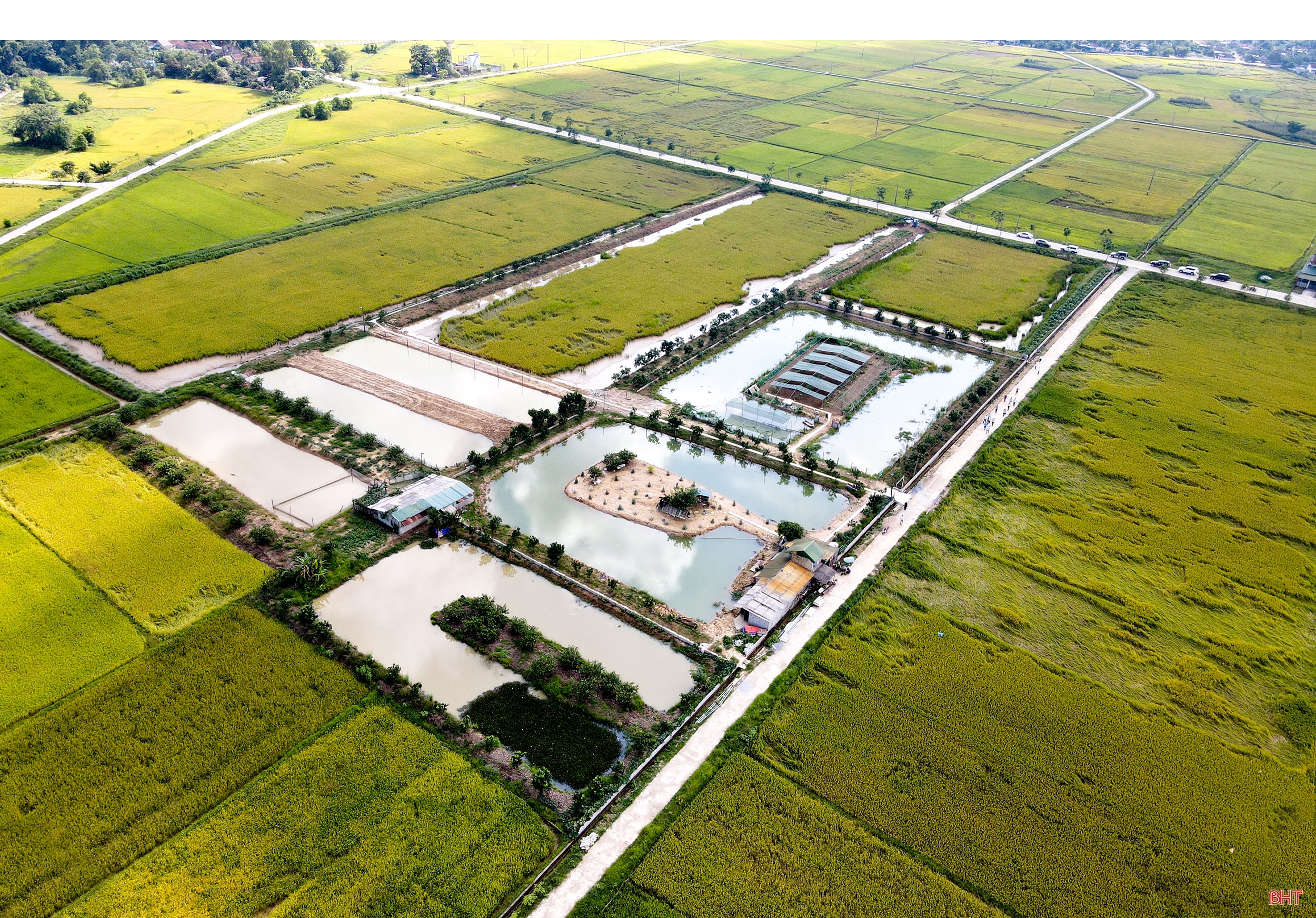 Tích tụ ruộng đất - từ chuyện những người “mê ruộng” đến khát vọng nền nông nghiệp hiện đại (bài cuối): Tư duy mới mở đường cho sản xuất hàng hóa quy mô lớn ở Hà Tĩnh