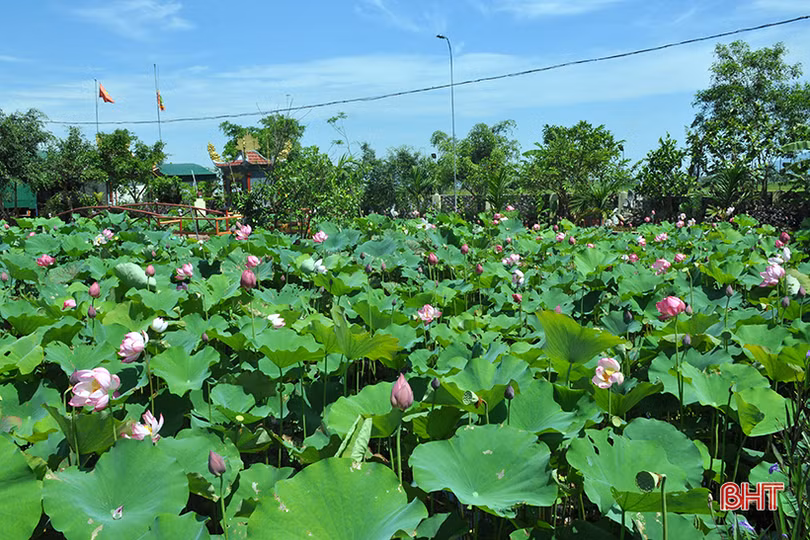 Thăm miếu Mái ngỡ chốn bồng lai