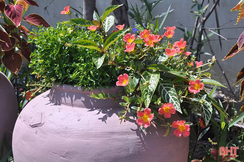 Thăm miếu Mái ngỡ chốn bồng lai