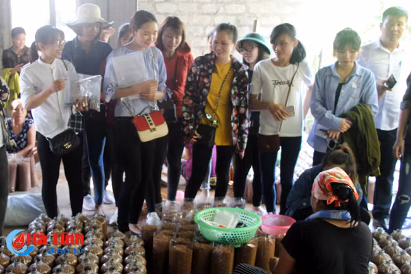 uom mam y tuong khoi nghiep cho sinh vien