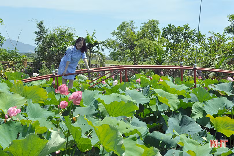 Thăm miếu Mái ngỡ chốn bồng lai