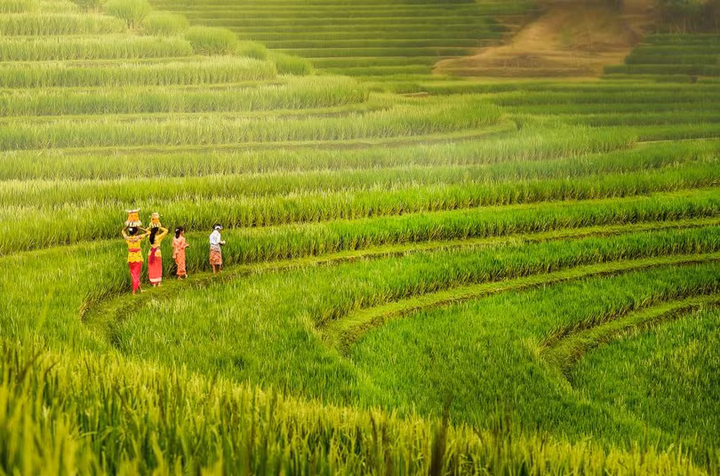 nhung sac mau dac trung cua cac nuoc tren the gioi