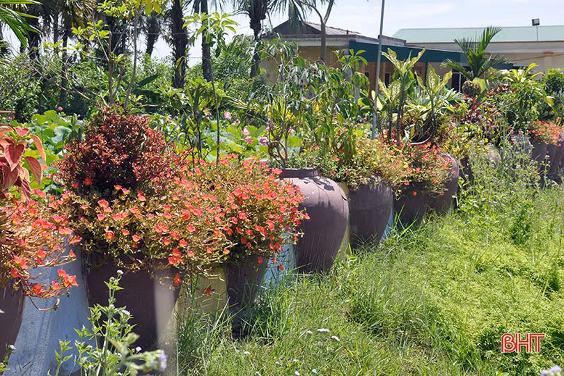 Thăm miếu Mái ngỡ chốn bồng lai