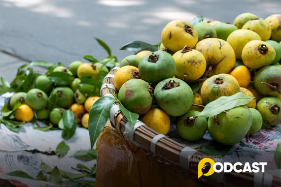 Podcast tản văn: Ngọt thơm hương thị