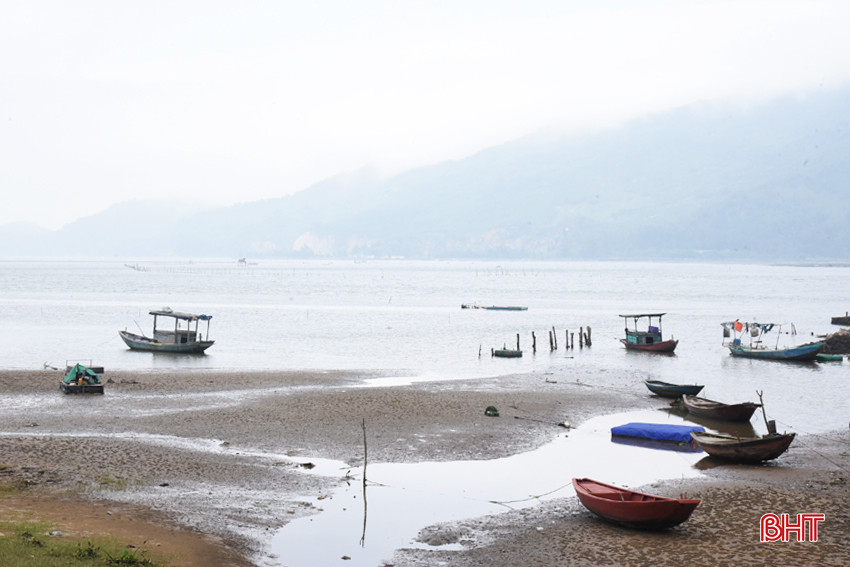 DSC_3835 - Copy.JPG