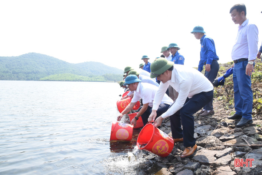 DSC_4168 - Copy.JPG