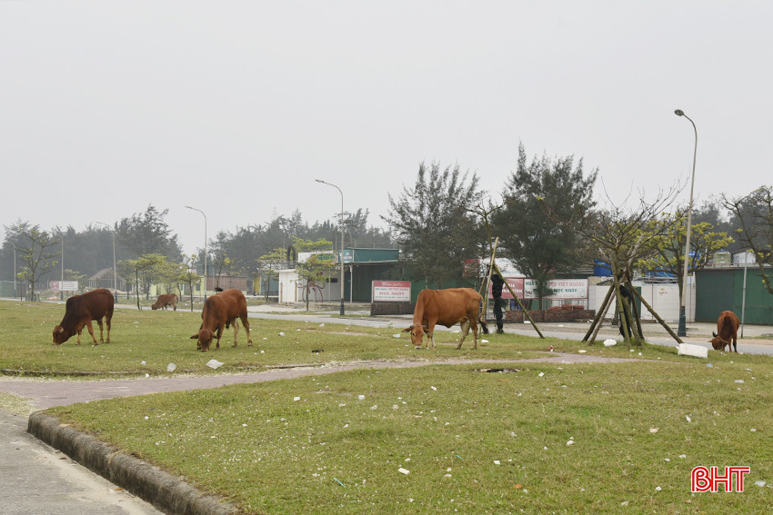 DSC_3097 - Copy.JPG
