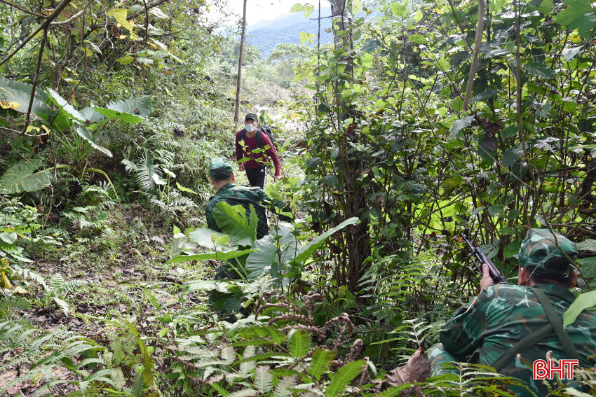 DSC_4808 - Copy.JPG