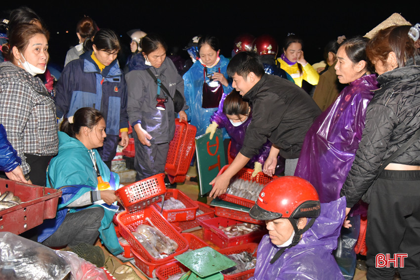 DSC_9517 - Copy.JPG