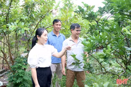 Những người không chuyên trách ở xã Cẩm Bình chọn ở lại với “việc làng”